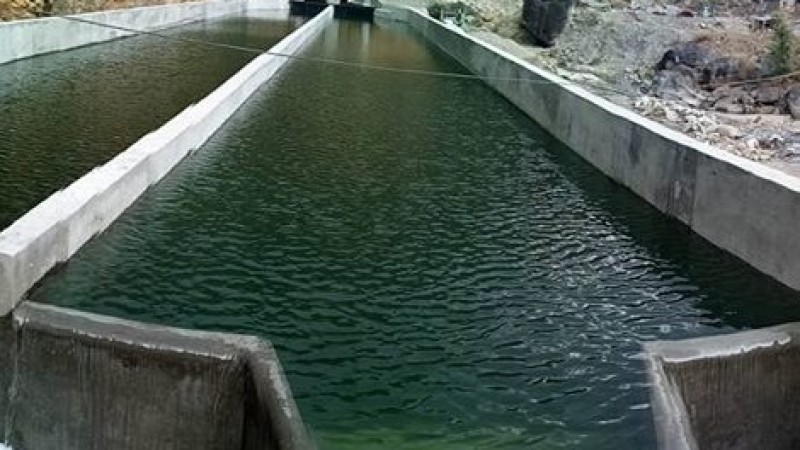 Jogmai Khola Small Hydroelectric Project (JKSHEP) 7.60 MW